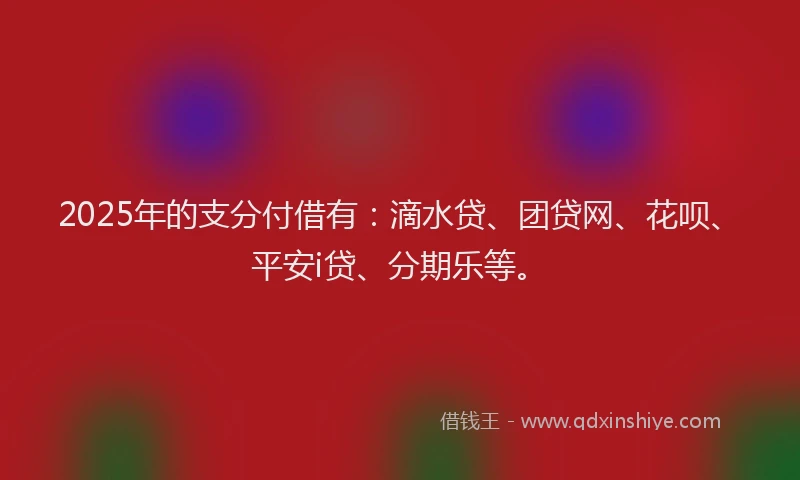 2025年的支分付借有：滴水贷、团贷网、花呗、平安i贷、分期乐等。