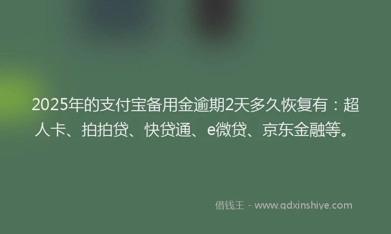 2025年的支付宝备用金逾期2天多久恢复有：超人卡、拍拍贷、快贷通、e微贷、京东金融等。