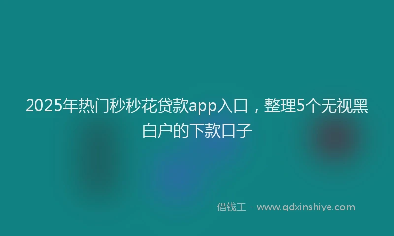 2025年热门秒秒花贷款app入口，整理5个无视黑白户的下款口子
