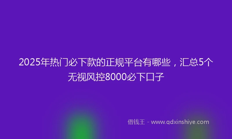 2025年热门必下款的正规平台有哪些，汇总5个无视风控8000必下口子