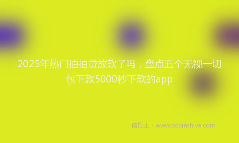 2025年热门拍拍贷放款了吗，盘点五个无视一切包下款5000秒下款的app