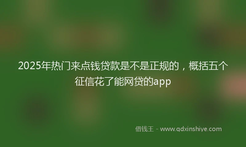 2025年热门来点钱贷款是不是正规的，概括五个征信花了能网贷的app