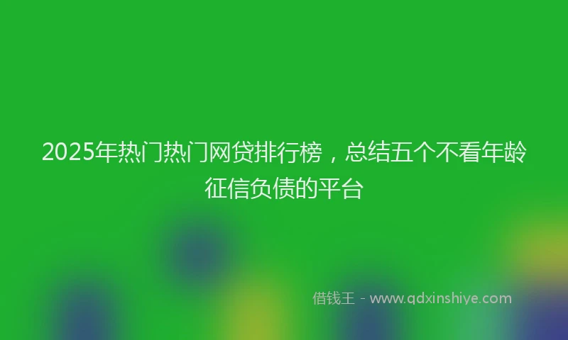 2025年热门热门网贷排行榜，总结五个不看年龄征信负债的平台