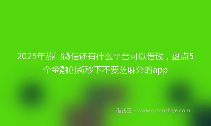 2025年热门微信还有什么平台可以借钱，盘点5个金融创新秒下不要芝麻分的app
