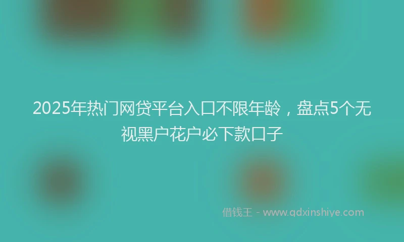 2025年热门网贷平台入口不限年龄，盘点5个无视黑户花户必下款口子