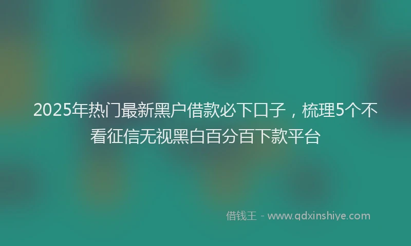 2025年热门最新黑户借款必下口子，梳理5个不看征信无视黑白百分百下款平台