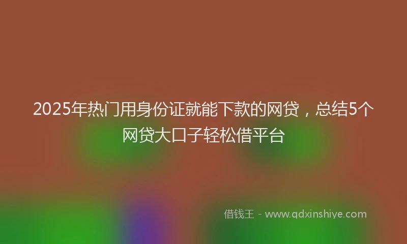2025年热门用身份证就能下款的网贷，总结5个网贷大口子轻松借平台
