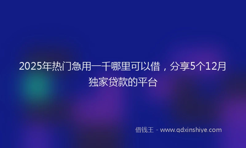2025年热门急用一千哪里可以借，分享5个12月独家贷款的平台