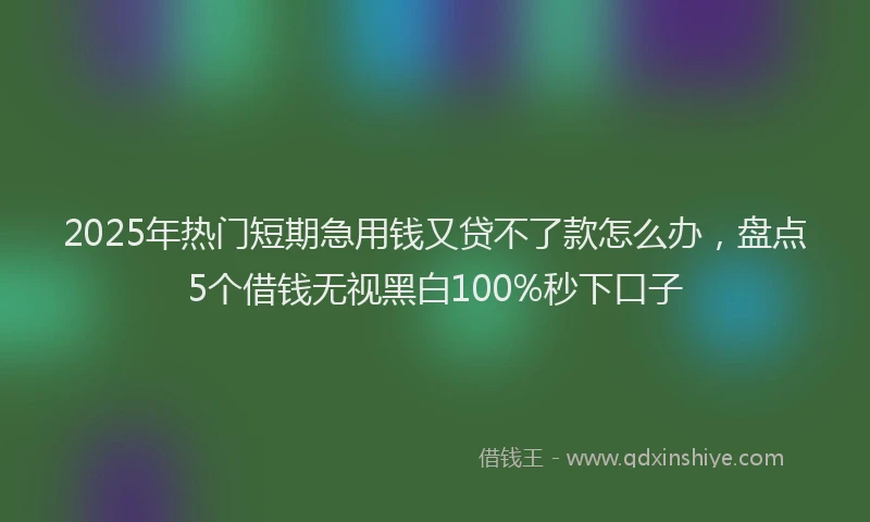 2025年热门短期急用钱又贷不了款怎么办，盘点5个借钱无视黑白100%秒下口子
