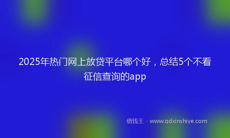 2025年热门网上放贷平台哪个好，总结5个不看征信查询的app