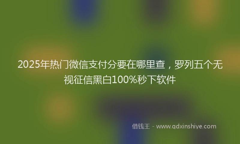 2025年热门微信支付分要在哪里查，罗列五个无视征信黑白100%秒下软件