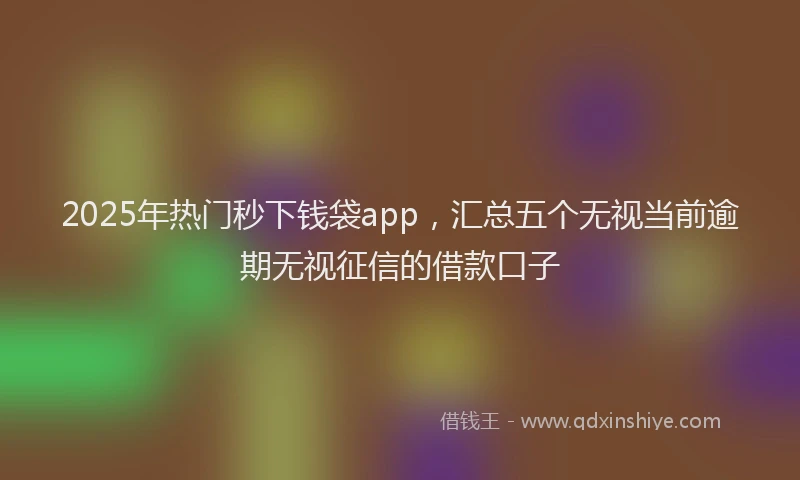 2025年热门秒下钱袋app，汇总五个无视当前逾期无视征信的借款口子