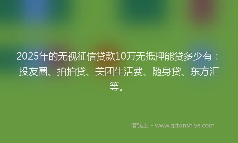 2025年的无视征信贷款10万无抵押能贷多少有：投友圈、拍拍贷、美团生活费、随身贷、东方汇等。