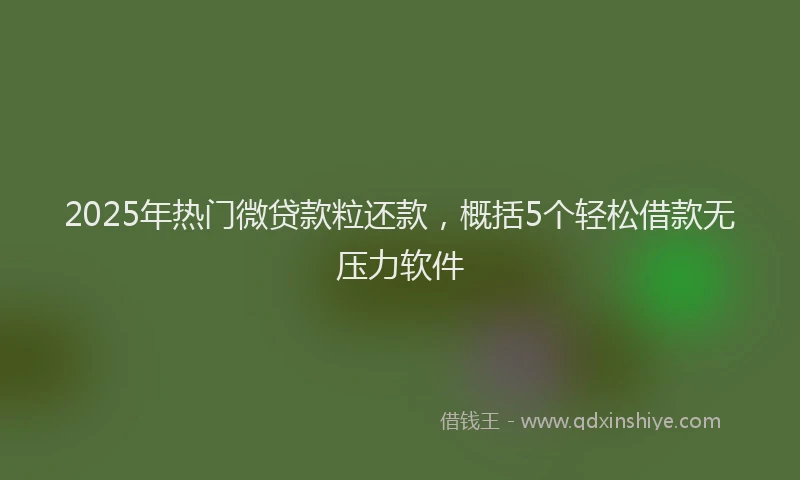 2025年热门微贷款粒还款，概括5个轻松借款无压力软件