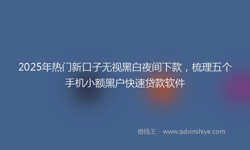 2025年热门新口子无视黑白夜间下款，梳理五个手机小额黑户快速贷款软件