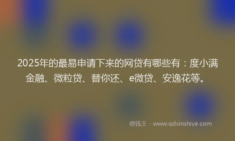 2025年的最易申请下来的网贷有哪些有：度小满金融、微粒贷、替你还、e微贷、安逸花等。
