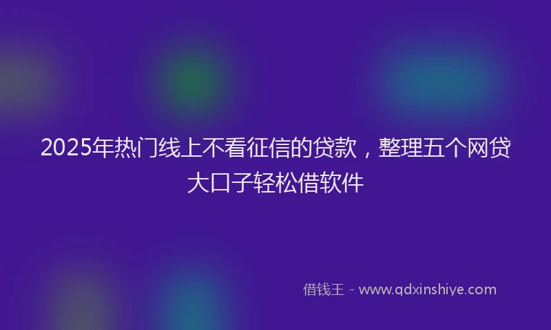 2025年热门线上不看征信的贷款，整理五个网贷大口子轻松借软件