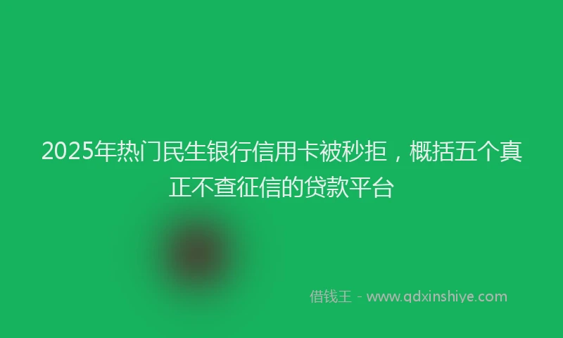 2025年热门民生银行信用卡被秒拒，概括五个真正不查征信的贷款平台