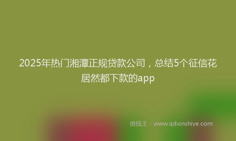 2025年热门湘潭正规贷款公司，总结5个征信花居然都下款的app
