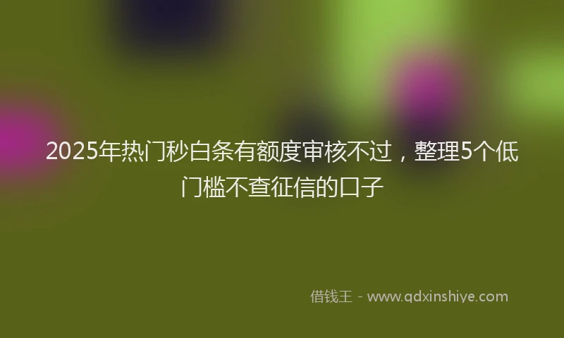 2025年热门秒白条有额度审核不过，整理5个低门槛不查征信的口子
