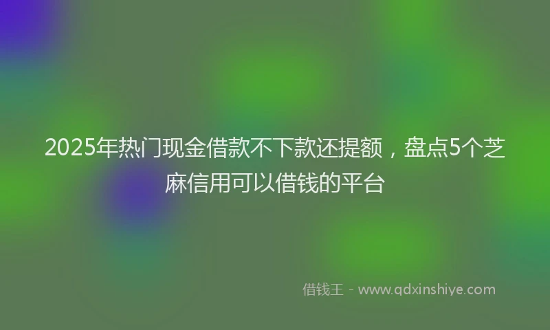 2025年热门现金借款不下款还提额，盘点5个芝麻信用可以借钱的平台