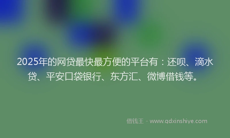 2025年的网贷最快最方便的平台有：还呗、滴水贷、平安口袋银行、东方汇、微博借钱等。