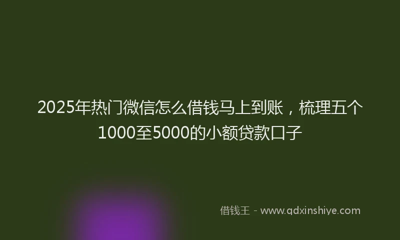 2025年热门微信怎么借钱马上到账，梳理五个1000至5000的小额贷款口子