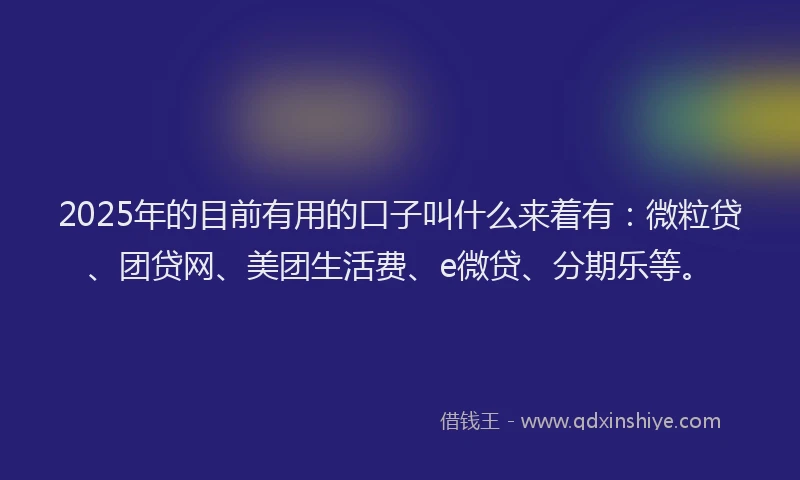 2025年的目前有用的口子叫什么来着有：微粒贷、团贷网、美团生活费、e微贷、分期乐等。