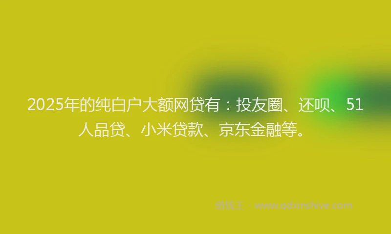 2025年的纯白户大额网贷有：投友圈、还呗、51人品贷、小米贷款、京东金融等。