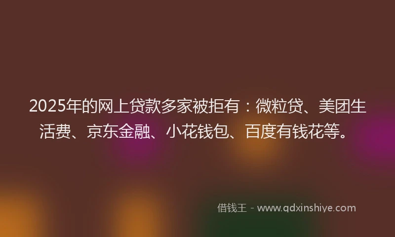 2025年的网上贷款多家被拒有：微粒贷、美团生活费、京东金融、小花钱包、百度有钱花等。