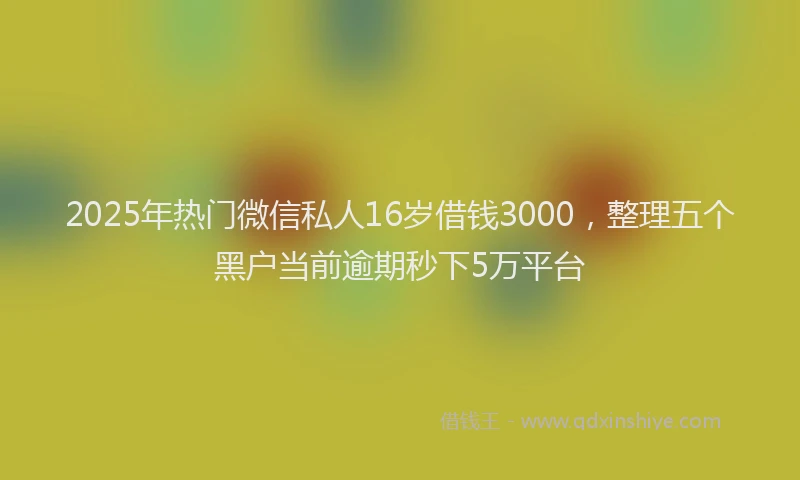 2025年热门微信私人16岁借钱3000，整理五个黑户当前逾期秒下5万平台