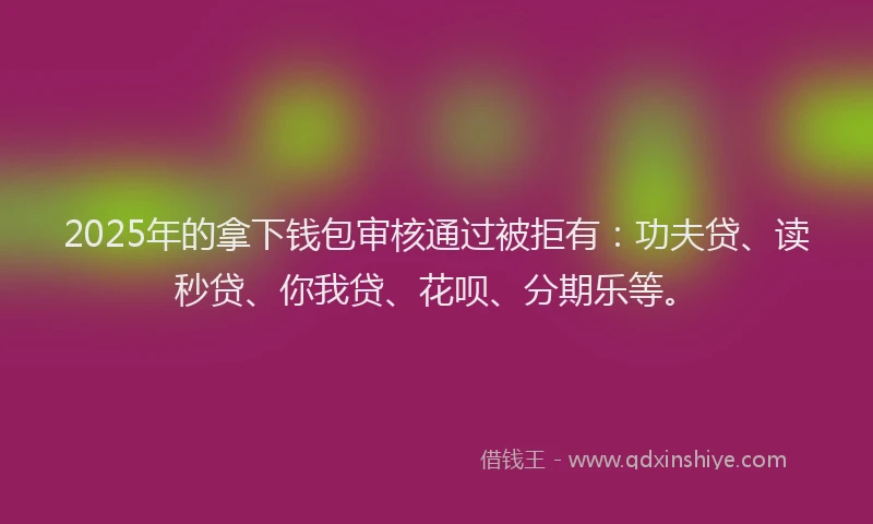 2025年的拿下钱包审核通过被拒有：功夫贷、读秒贷、你我贷、花呗、分期乐等。