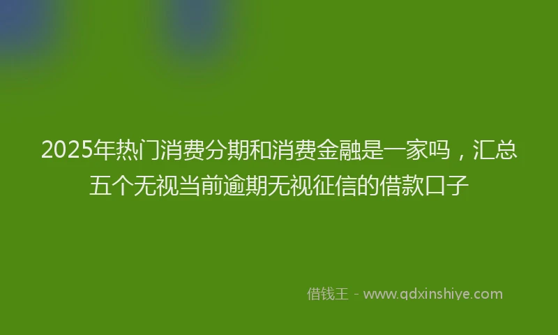 2025年热门消费分期和消费金融是一家吗，汇总五个无视当前逾期无视征信的借款口子