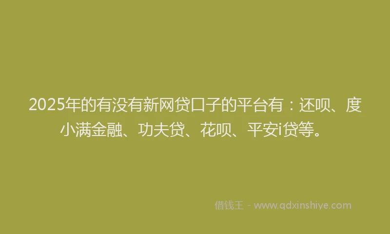2025年的有没有新网贷口子的平台有：还呗、度小满金融、功夫贷、花呗、平安i贷等。