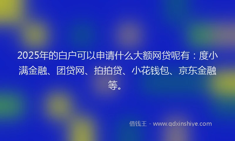 2025年的白户可以申请什么大额网贷呢有：度小满金融、团贷网、拍拍贷、小花钱包、京东金融等。