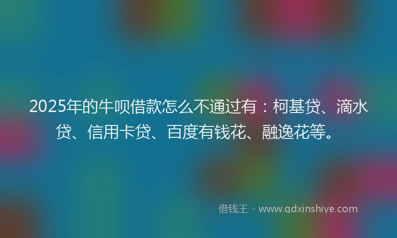 2025年的牛呗借款怎么不通过有：柯基贷、滴水贷、信用卡贷、百度有钱花、融逸花等。