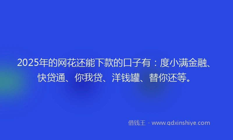 2025年的网花还能下款的口子有：度小满金融、快贷通、你我贷、洋钱罐、替你还等。