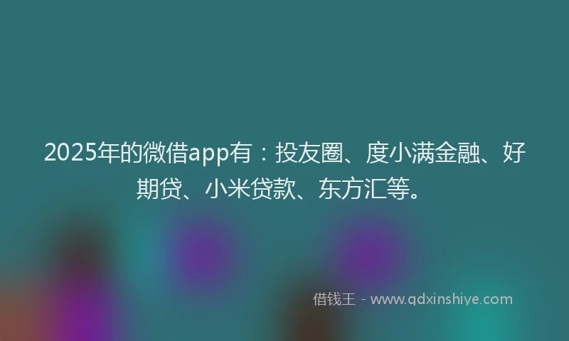 2025年的微借app有：投友圈、度小满金融、好期贷、小米贷款、东方汇等。