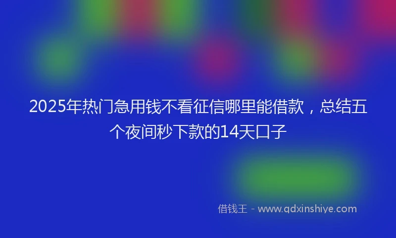 2025年热门急用钱不看征信哪里能借款，总结五个夜间秒下款的14天口子