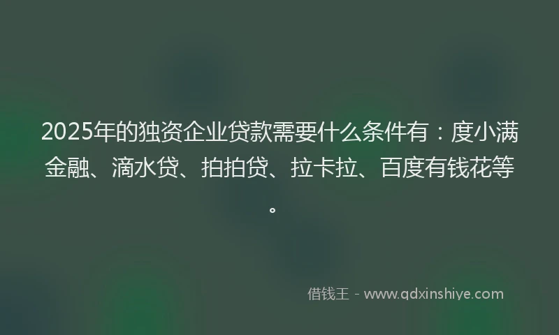 2025年的独资企业贷款需要什么条件有：度小满金融、滴水贷、拍拍贷、拉卡拉、百度有钱花等。