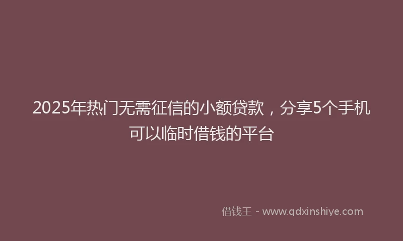 2025年热门无需征信的小额贷款，分享5个手机可以临时借钱的平台