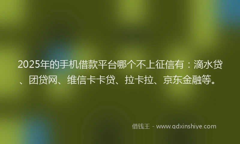 2025年的手机借款平台哪个不上征信有：滴水贷、团贷网、维信卡卡贷、拉卡拉、京东金融等。