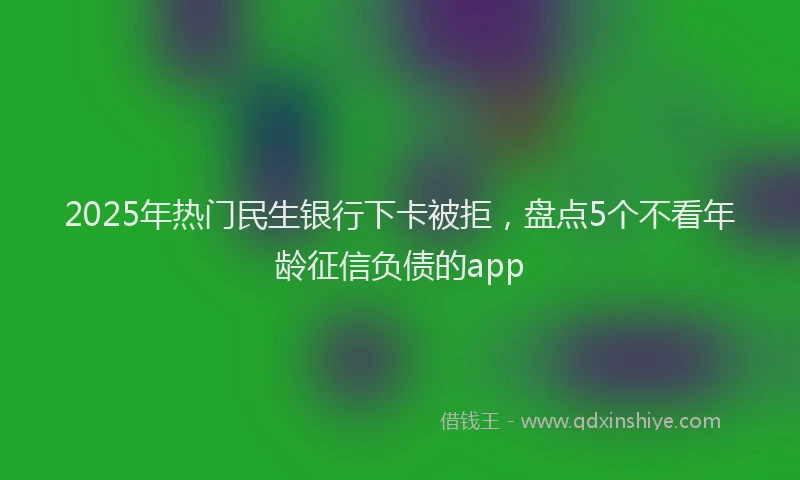 2025年热门民生银行下卡被拒，盘点5个不看年龄征信负债的app