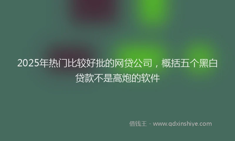 2025年热门比较好批的网贷公司，概括五个黑白贷款不是高炮的软件
