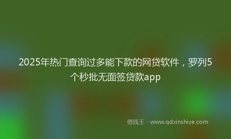 2025年热门查询过多能下款的网贷软件，罗列5个秒批无面签贷款app