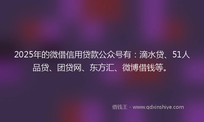 2025年的微借信用贷款公众号有：滴水贷、51人品贷、团贷网、东方汇、微博借钱等。