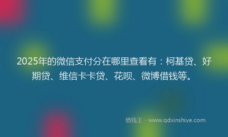 2025年的微信支付分在哪里查看有：柯基贷、好期贷、维信卡卡贷、花呗、微博借钱等。