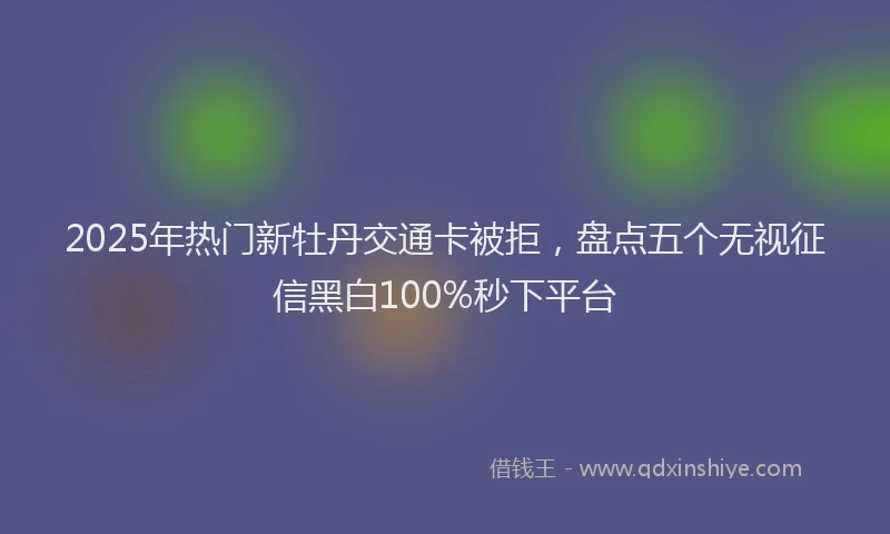 2025年热门新牡丹交通卡被拒，盘点五个无视征信黑白100%秒下平台