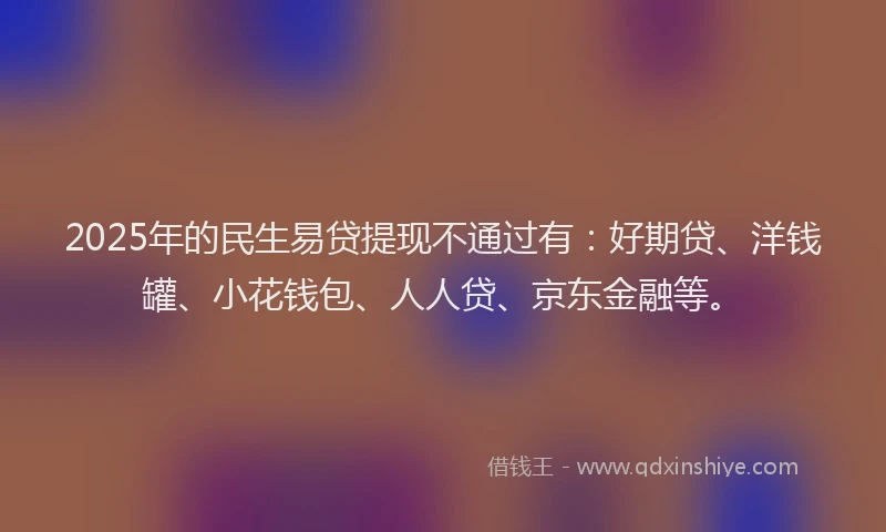 2025年的民生易贷提现不通过有：好期贷、洋钱罐、小花钱包、人人贷、京东金融等。