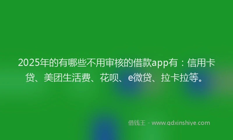 2025年的有哪些不用审核的借款app有：信用卡贷、美团生活费、花呗、e微贷、拉卡拉等。